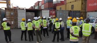 TRIBUNAL ADUANEIRO DE SOFALA AUTORIZA ENTREGA DE 111 CONTENTORES DE MADEIRA À SAFI TIMBER