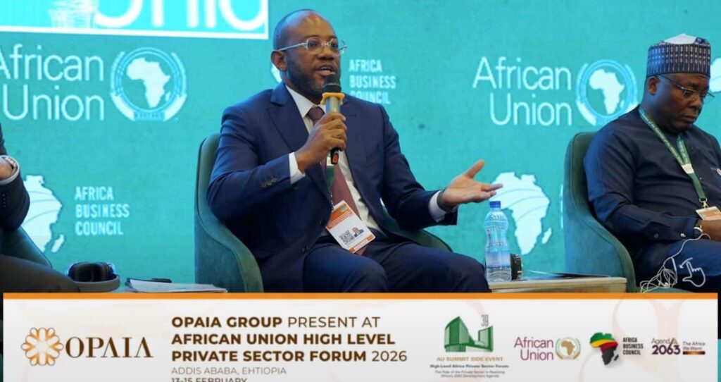 GRUPO OPAIA MARCA PRESENÇA NA 39ª CÚPULA DA UNIÃO AFRICANA